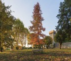 Giardini d'autunno..3