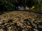 Autunno