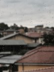 1 novembre