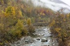 I colori dell'autunno