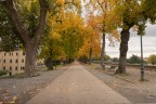 Le mura di Lucca Le mura di Lucca