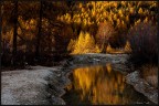 I colori dell'autunno I colori dell'autunno