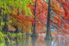 autunno al lago autunno al lago