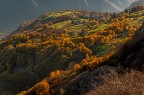 st