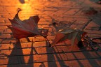 Verso il calore Verso il calore