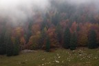 Il caduto Il caduto