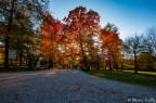Entrata Parco di Monza Entrata Parco di Monza