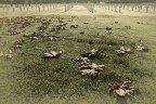 Il cimitero dei poeti