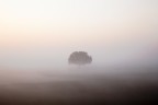 semplicemente alba... semplicemente alba...