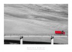 il camion rosso il camion rosso
