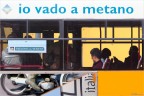 bus bus