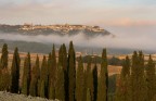 Buongiorno Montalcino Buongiorno Montalcino