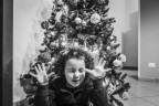 dream before christmas dream before christmas