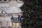 L'Albero L'Albero
