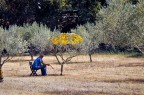 L'annaffiatore di ulivi L'annaffiatore di ulivi