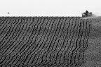 farm lines farm lines