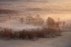 Frost fog and fantasy Frost fog and fantasy