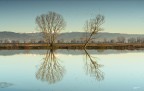 Riflessi invernali..
