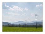 Campagna marchigiana Campagna marchigiana