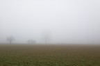 Anno nuovo, vecchia nebbia. Anno nuovo, vecchia nebbia.