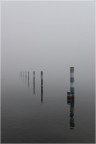 Nella nebbia