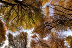 Colori d'autunno Colori d'autunno