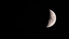 Moon Moon