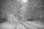 appena nevicato appena nevicato