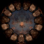 ambarab�ciccicocc�