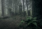 Mist Mist