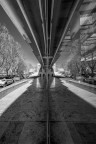 AraPacis_RM_Gen22 AraPacis_RM_Gen22