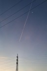linee linee
