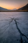 Frozen neuron Frozen neuron