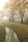 L'autunno di un fosso L'autunno di un fosso