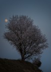 Al calar della sera Al calar della sera