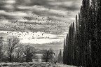 Casolare a CastelMartini Casolare a CastelMartini
