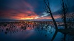 Blue hour Blue hour