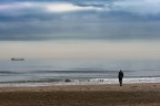 Il mare d'inverno Il mare d'inverno