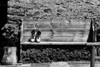 Rest Rest
