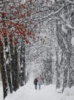 due passi sotto la nevicata... due passi sotto la nevicata...