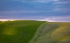 annunci di primavera annunci di primavera