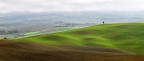 Crete senesi Crete senesi