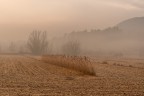 st