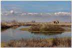Delta del Po'