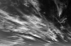 Sky Sky
