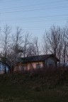 ST