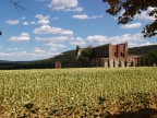 San Galgano : finalmente un poco di ombra