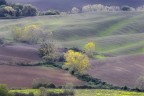 Ritorno Ritorno