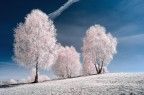 Paesaggio fatato Paesaggio fatato