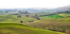 Val d'Orcia - Fog Val d'Orcia - Fog
